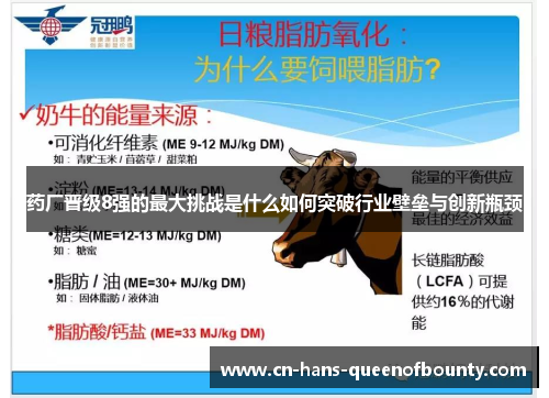 药厂晋级8强的最大挑战是什么如何突破行业壁垒与创新瓶颈