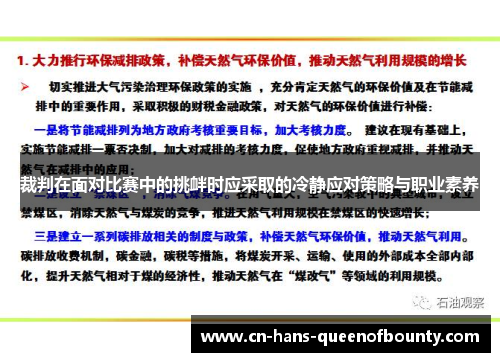 裁判在面对比赛中的挑衅时应采取的冷静应对策略与职业素养