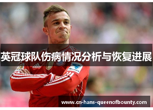 英冠球队伤病情况分析与恢复进展