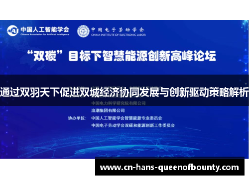 通过双羽天下促进双城经济协同发展与创新驱动策略解析